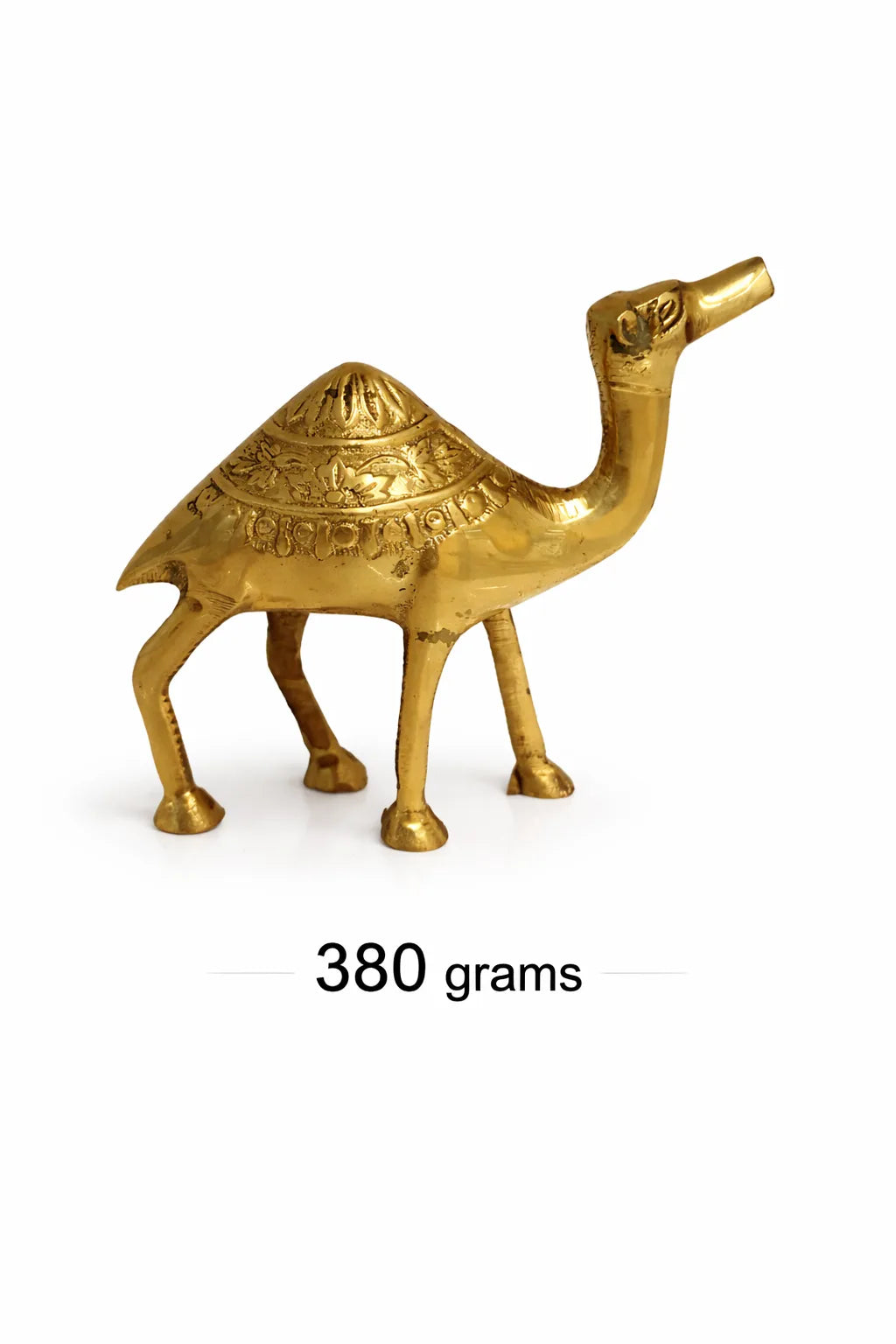 Camel