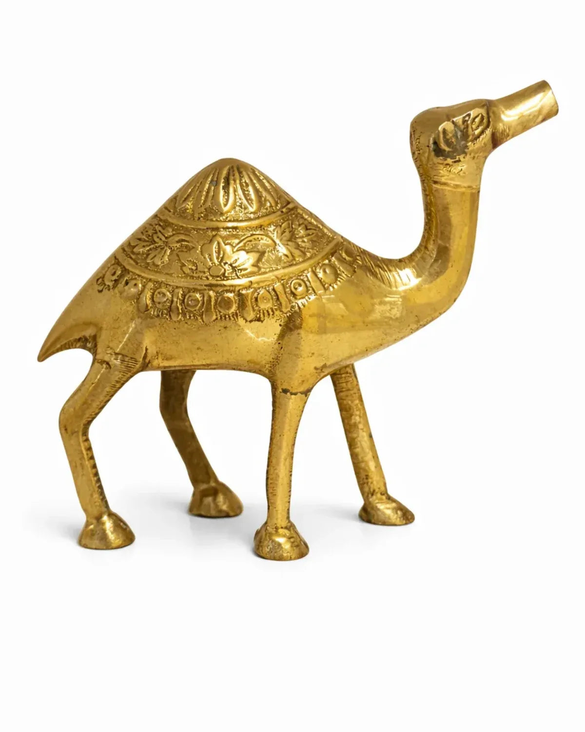 Camel
