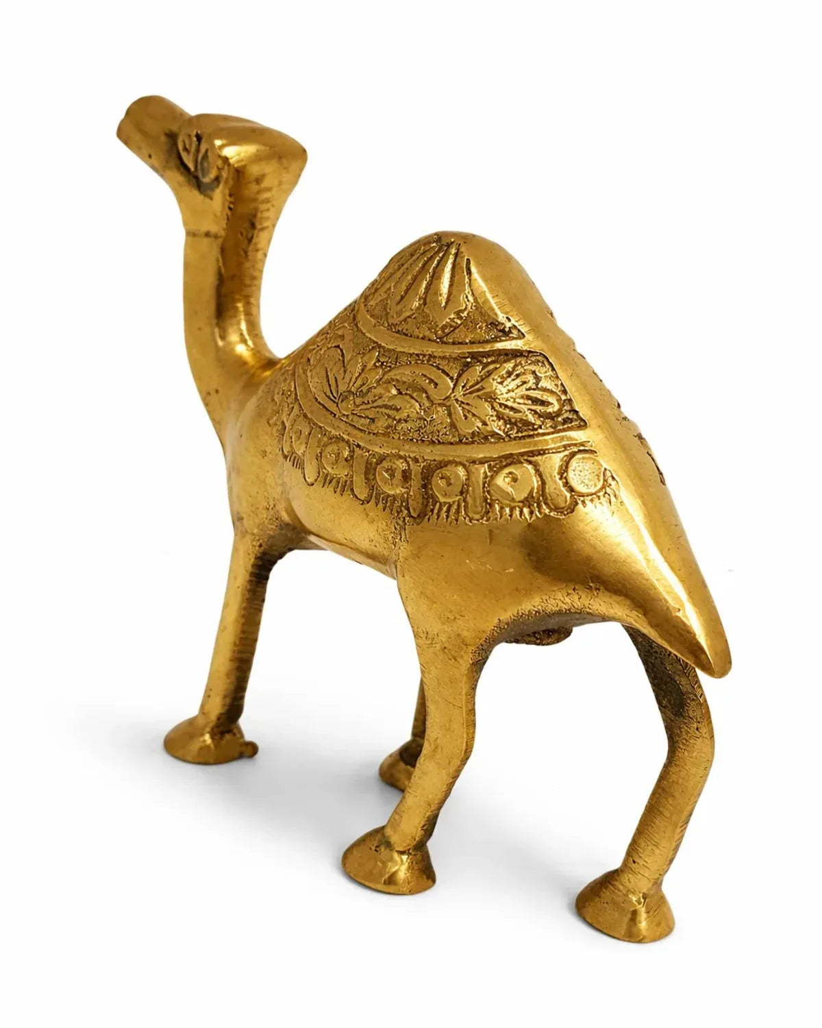 Camel