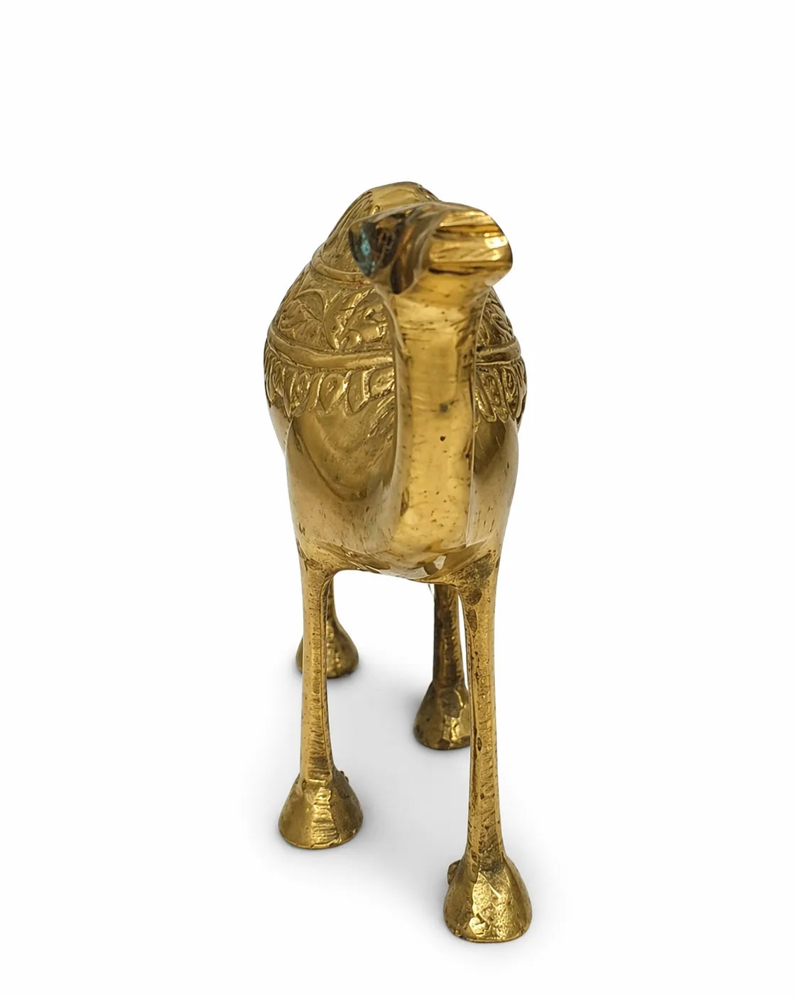 Camel