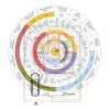 Course on Barchart & Map Grid