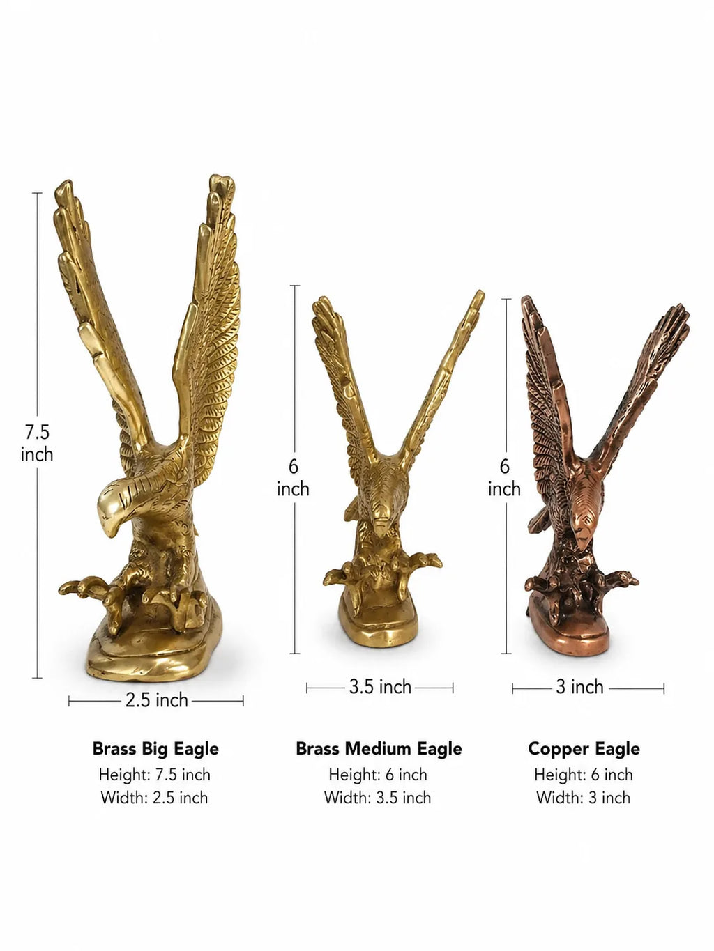 Eagle (The Garuda)