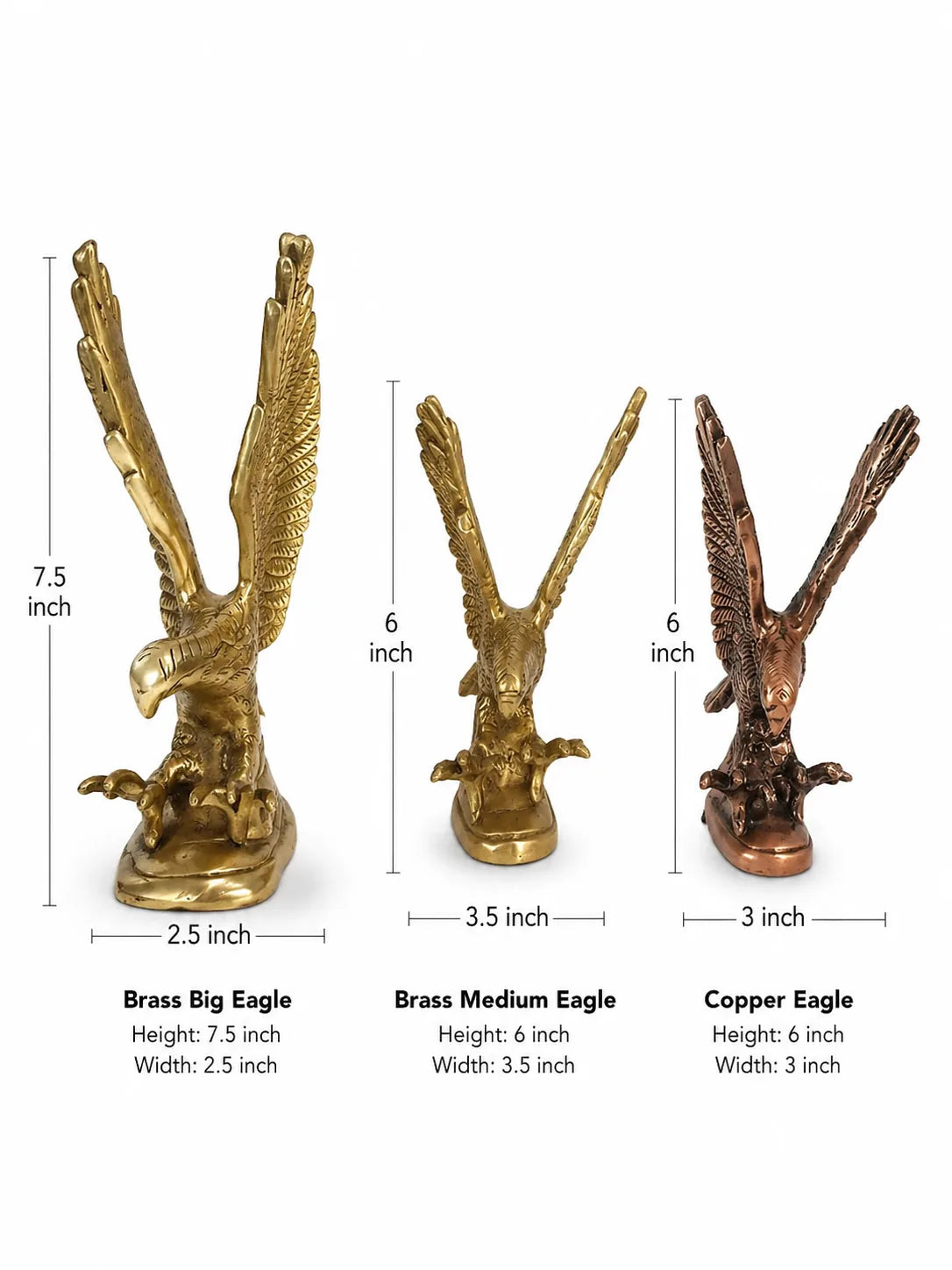 Eagle (The Garuda)