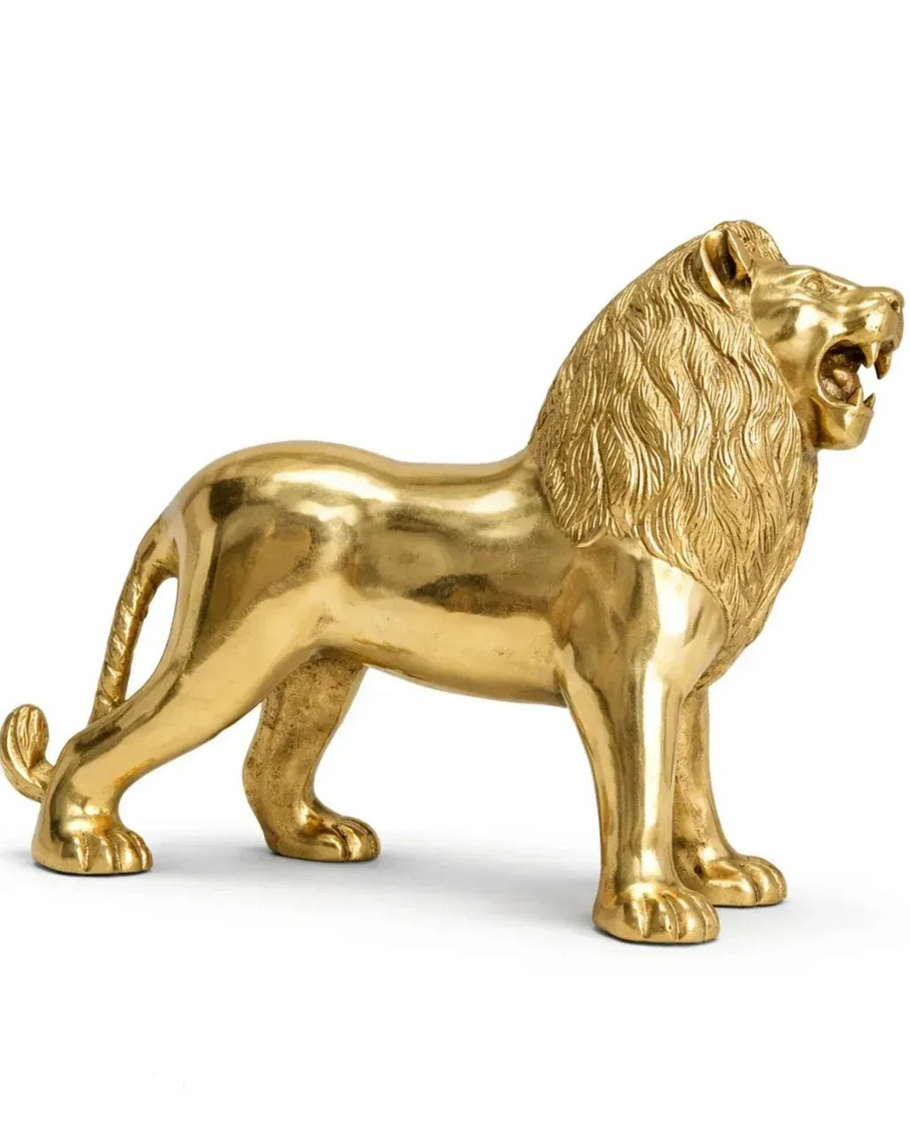 Lion For Power 1.8kg