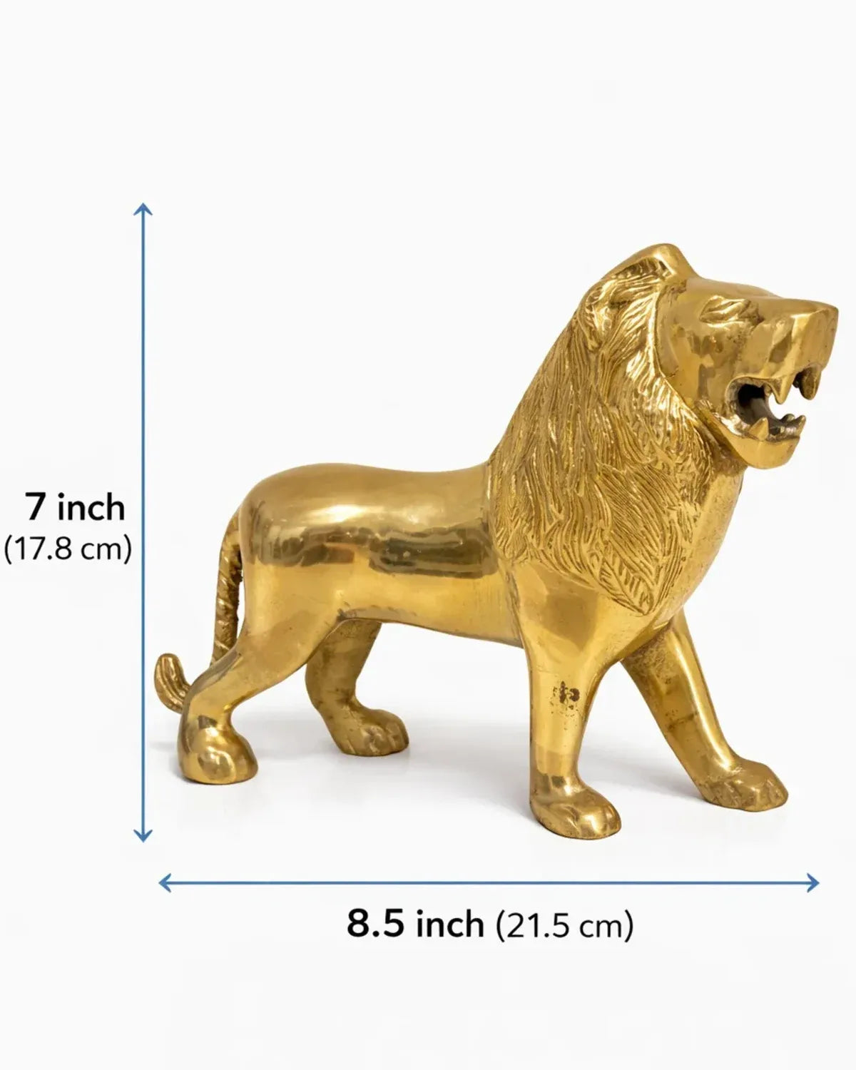 Lion For Power 1.8kg