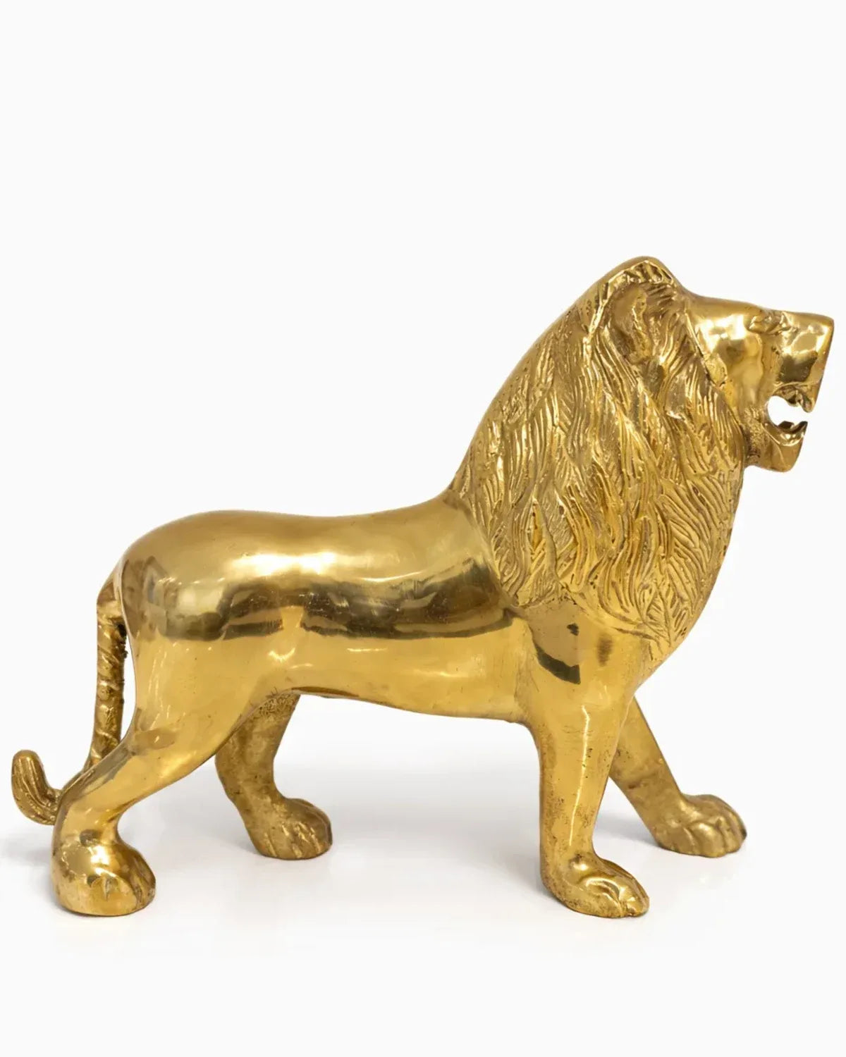 Lion For Power 1.8kg