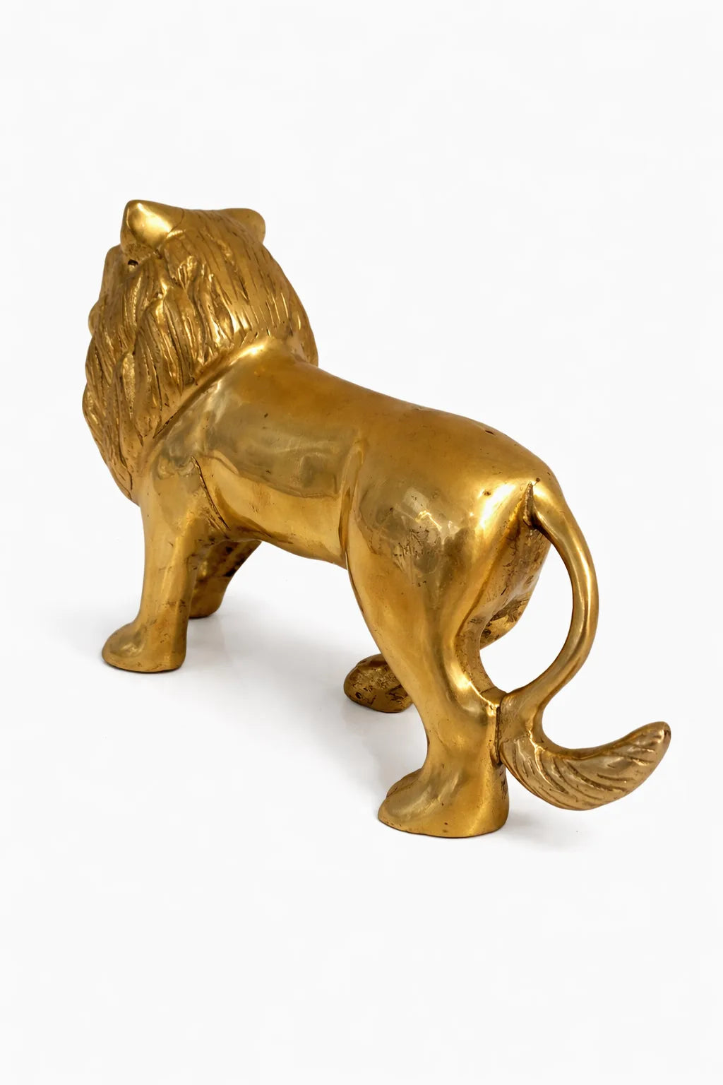 Lion For Power