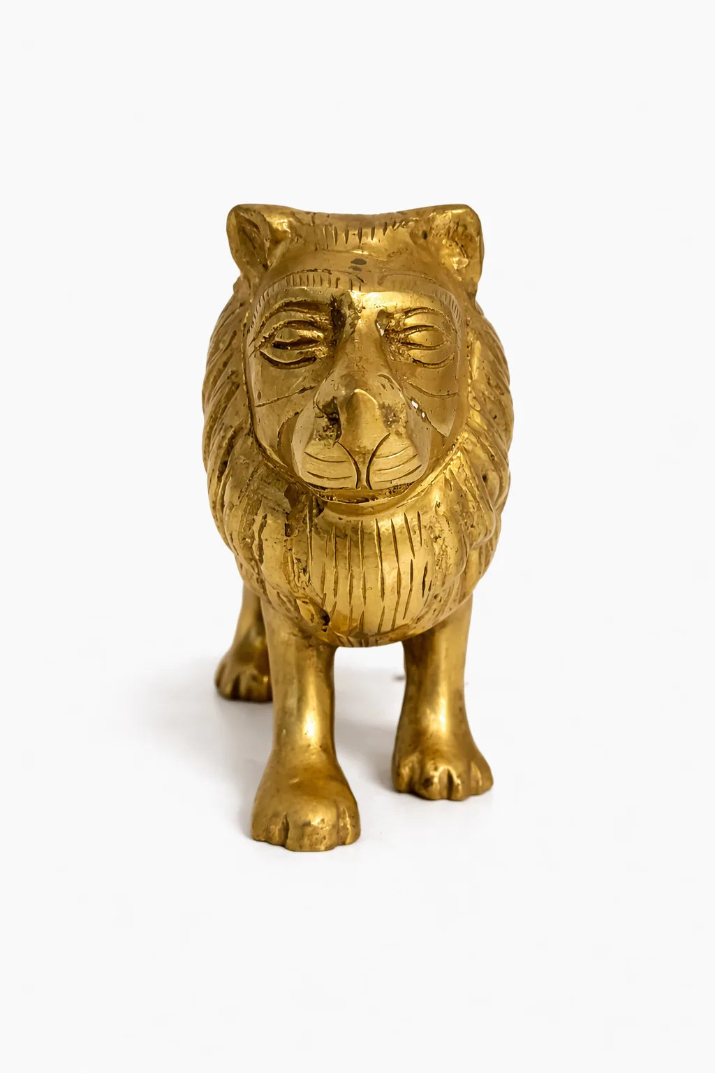 Lion For Power