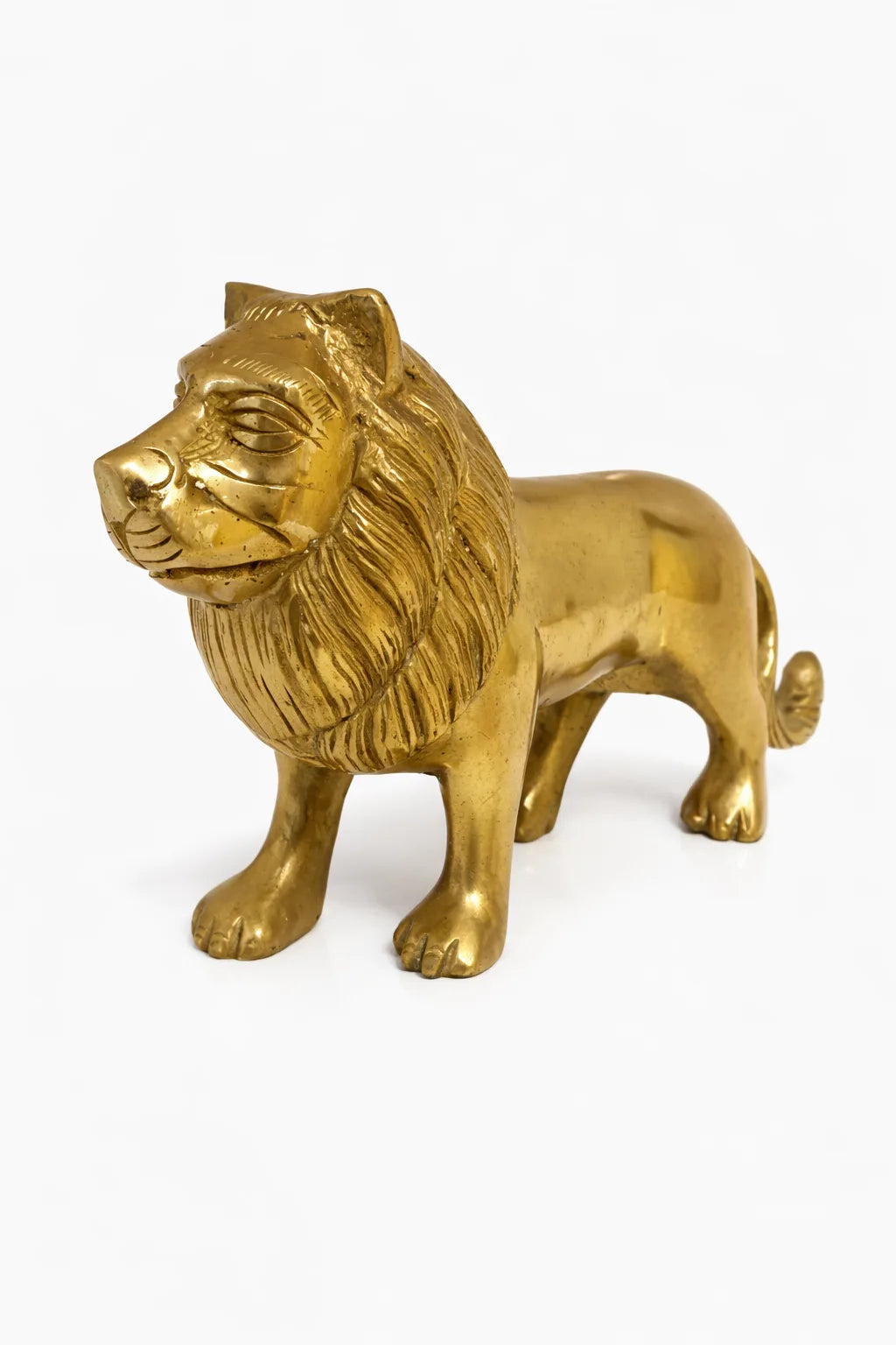 Lion For Power