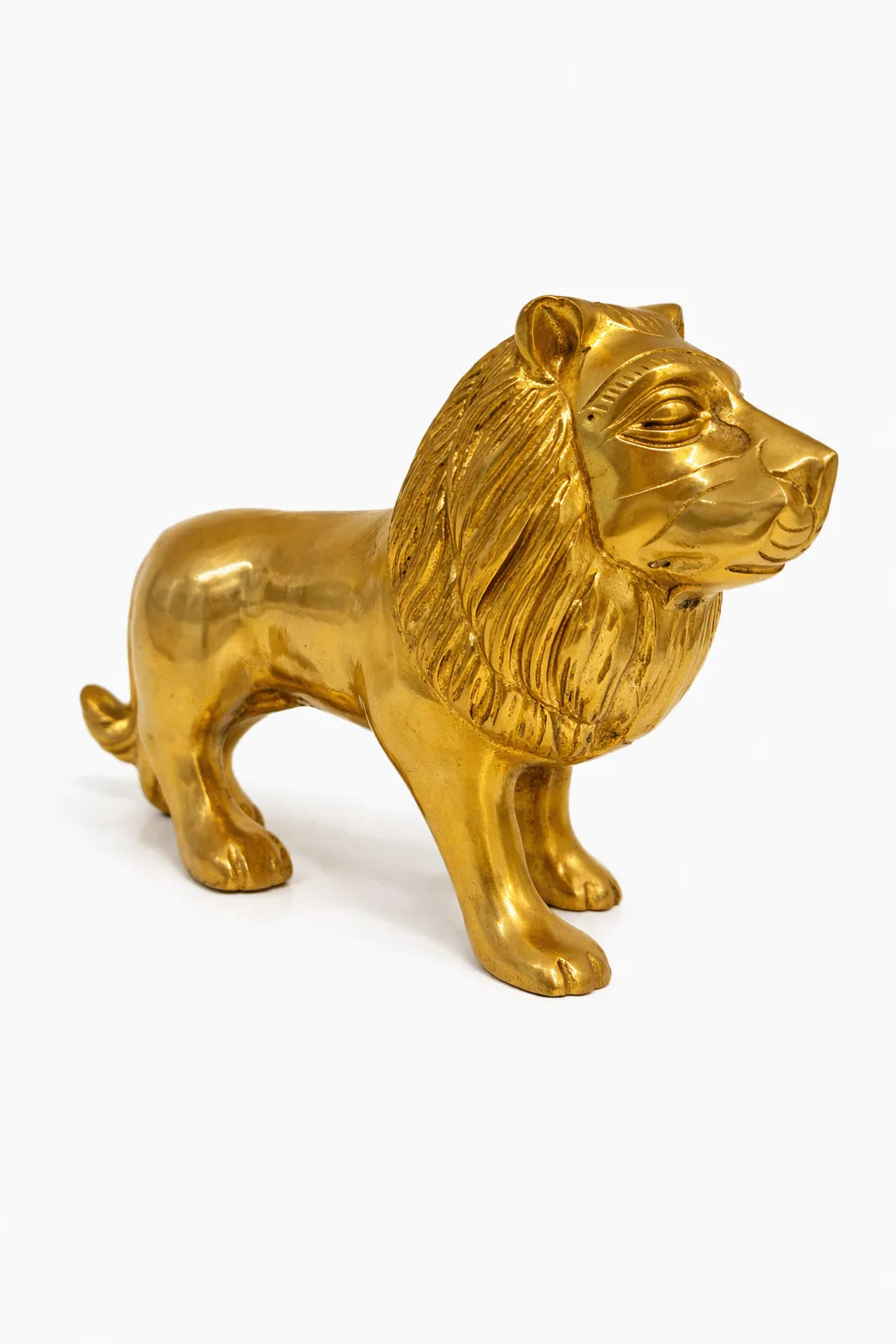 Lion For Power