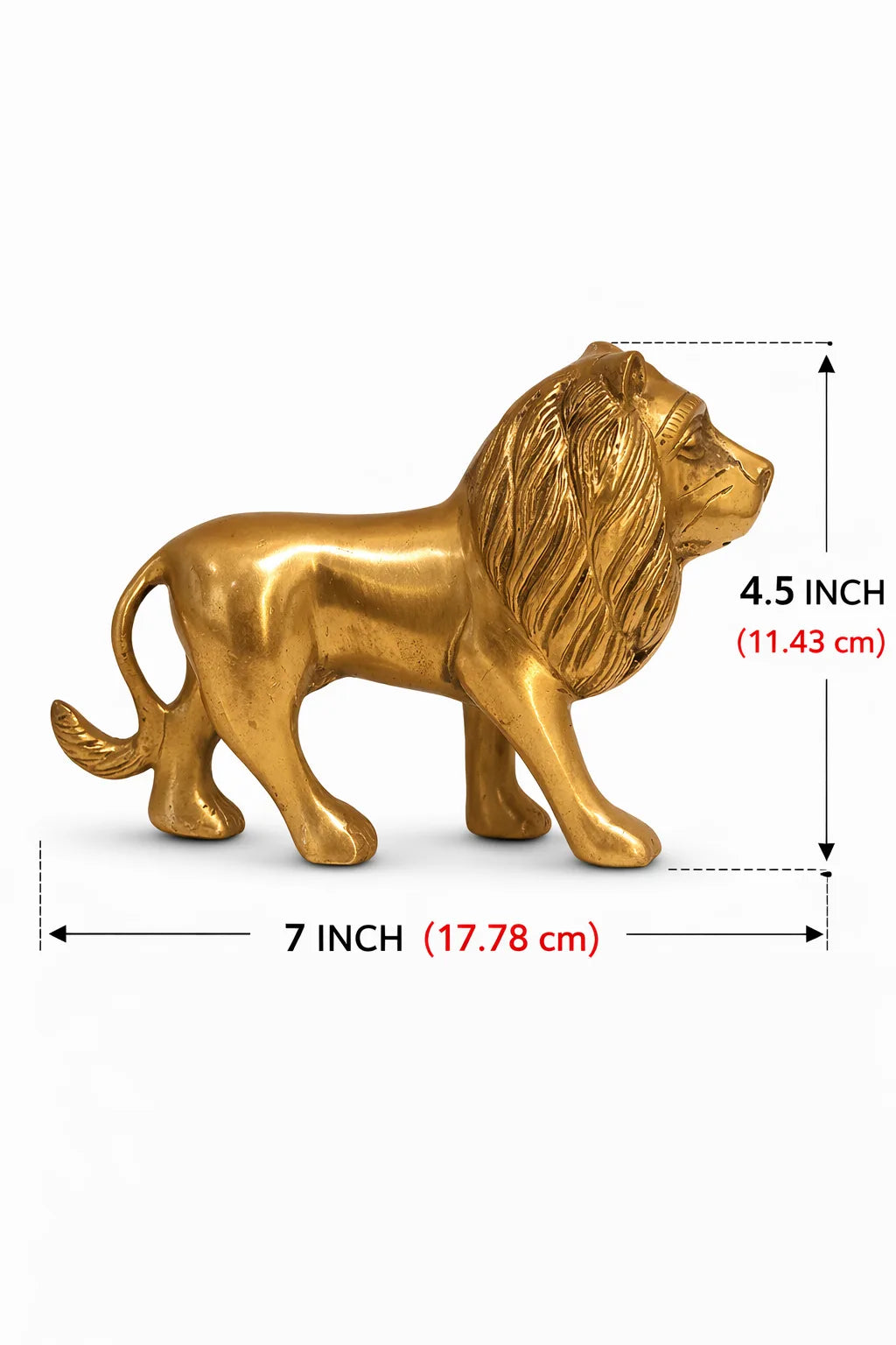 Lion For Power