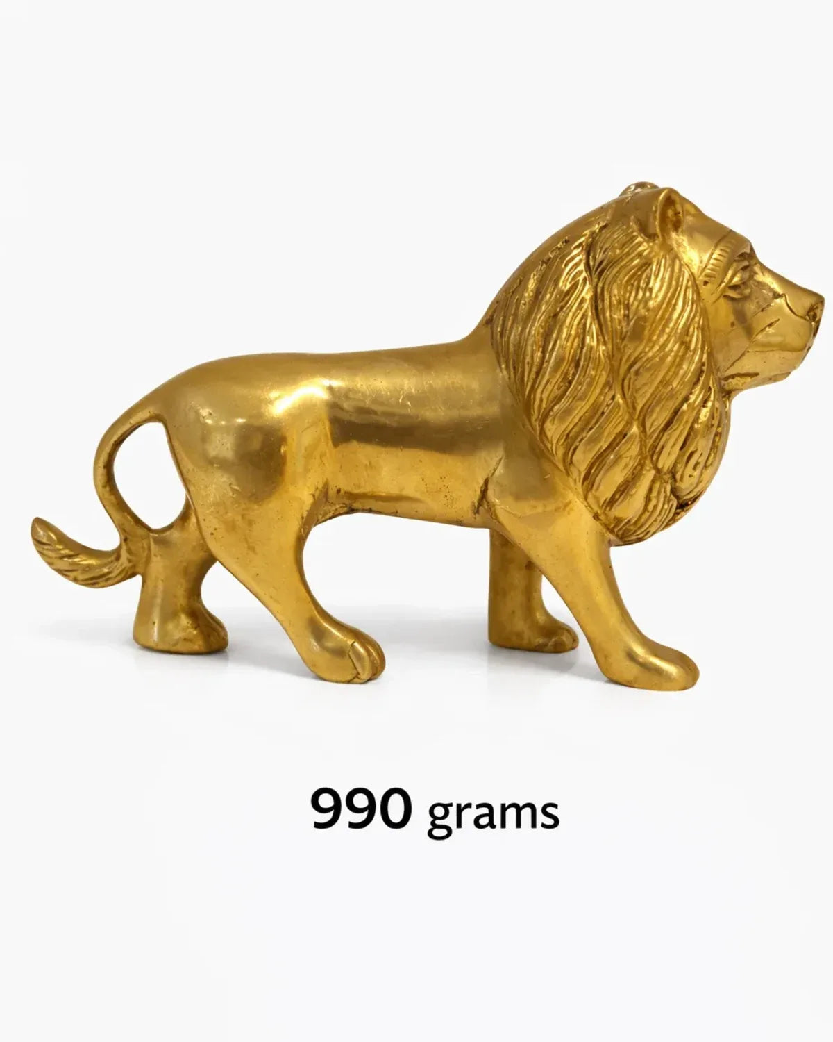 Lion For Power