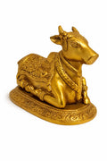 NaNDi (Bull) 1.7kg