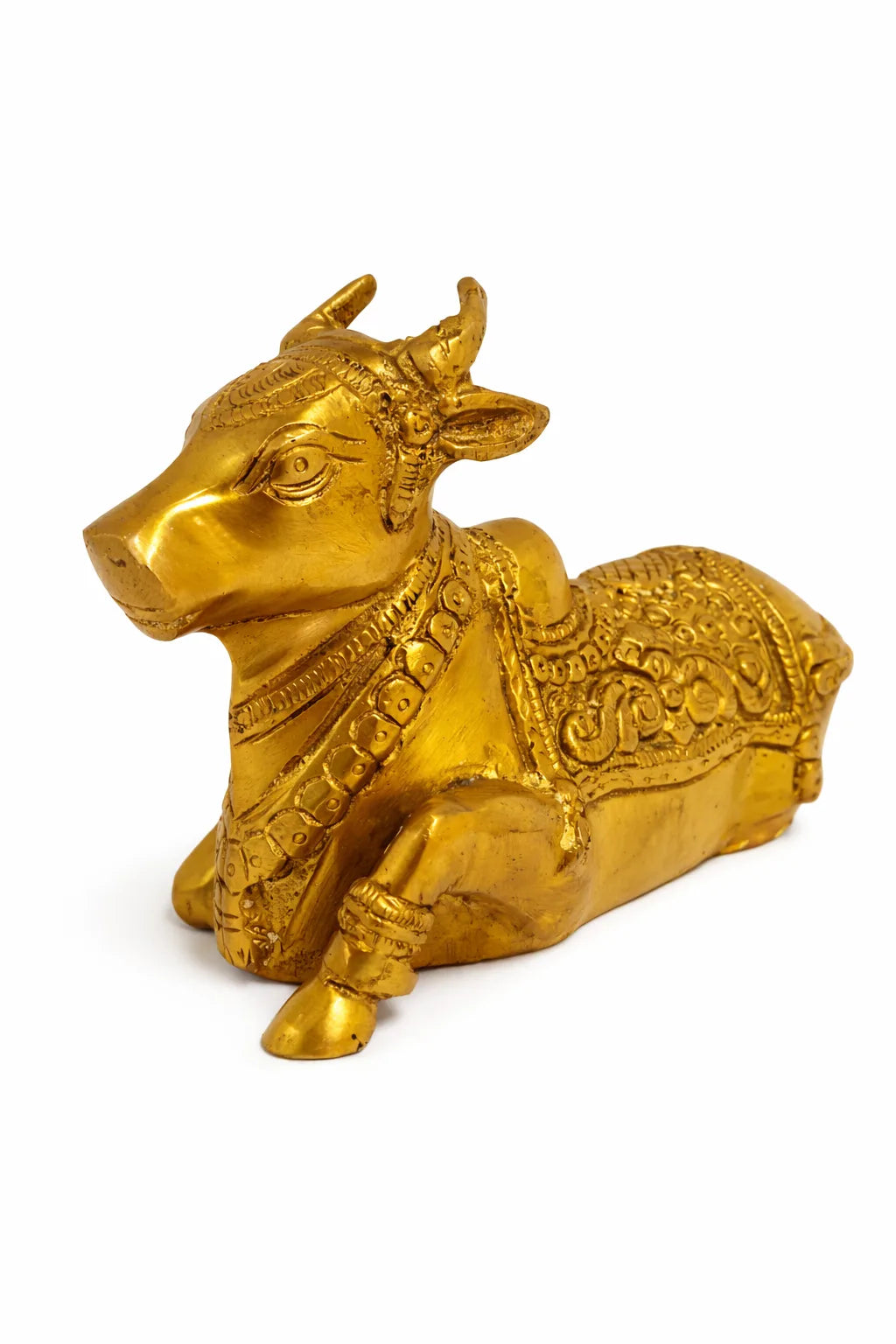 NaNDi Bull