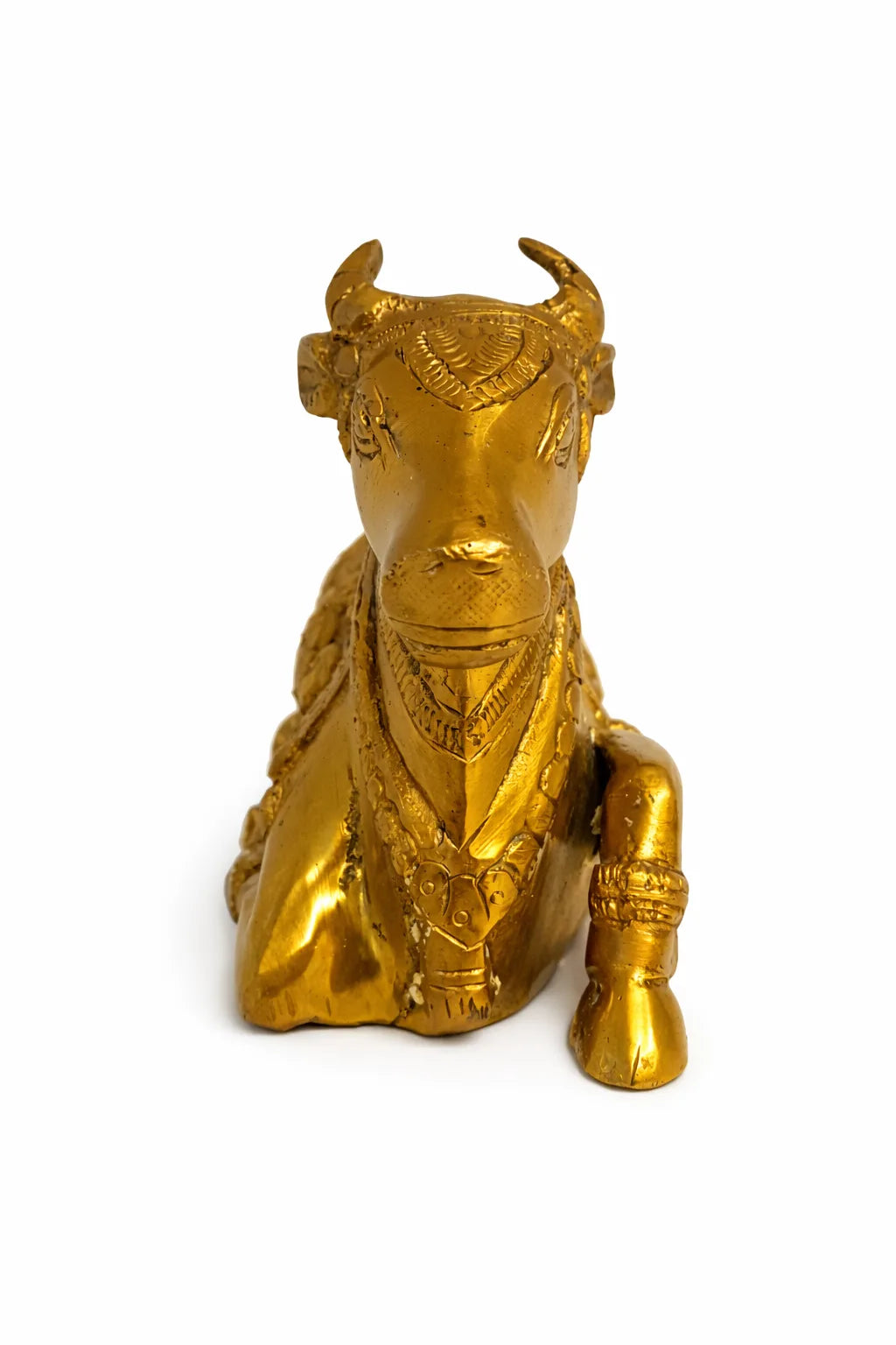 NaNDi Bull