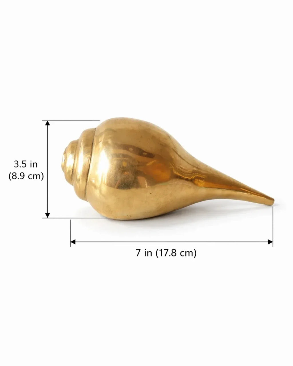 Brass Shankh (1.28 KG - Medium Size)