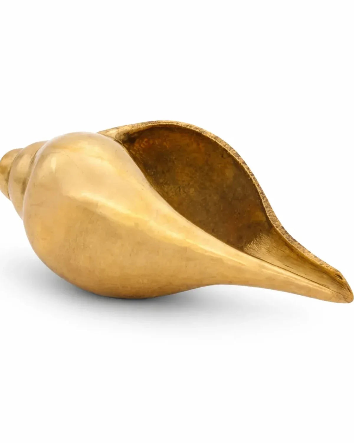 Brass Shankh (Vastu Shankh / Conch)