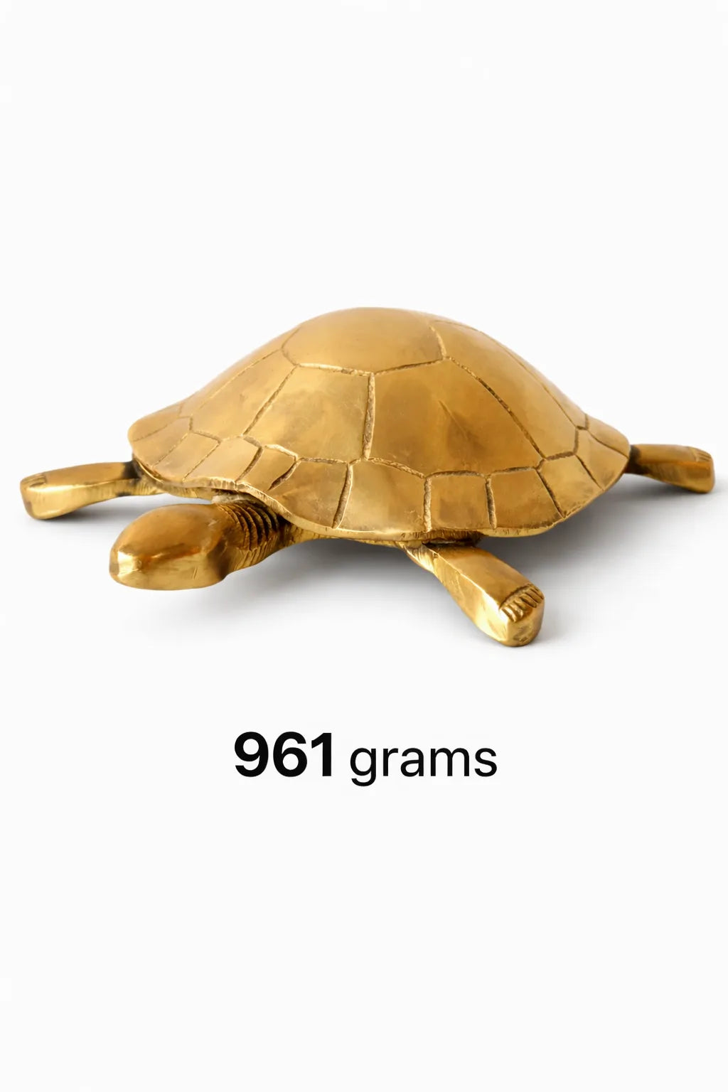 Tortoise