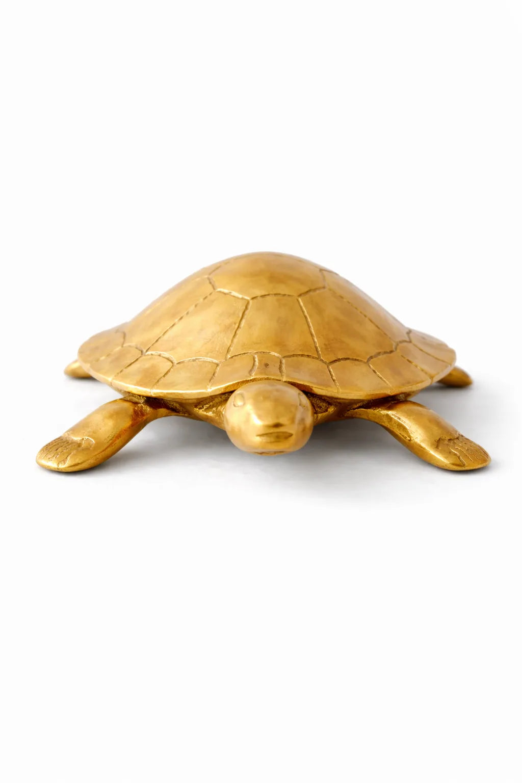 Tortoise