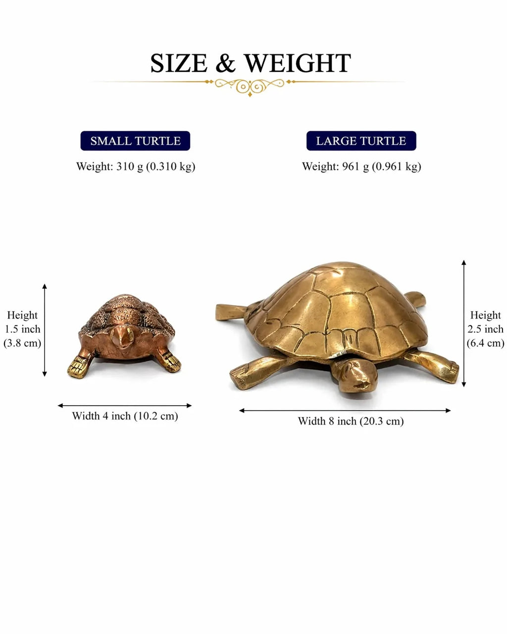 Tortoise