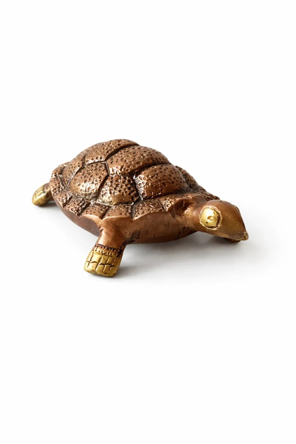 Copper Tortoise (Mini - 310 Gram)
