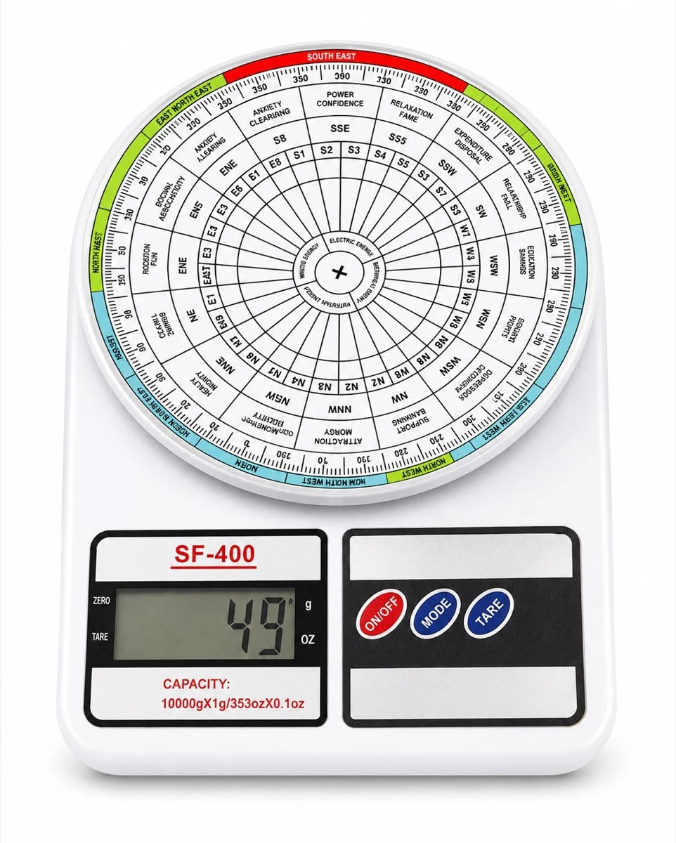 Vastu Chakra Plotting Disc — 6 inch Energy Edition (₹650 Direction-Effect Mapping Tool)